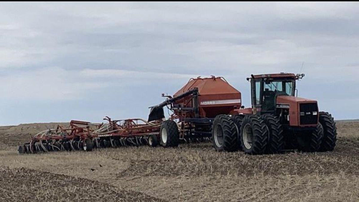 Seeding progress being made in Saskatchewan despite rain and snow in ...