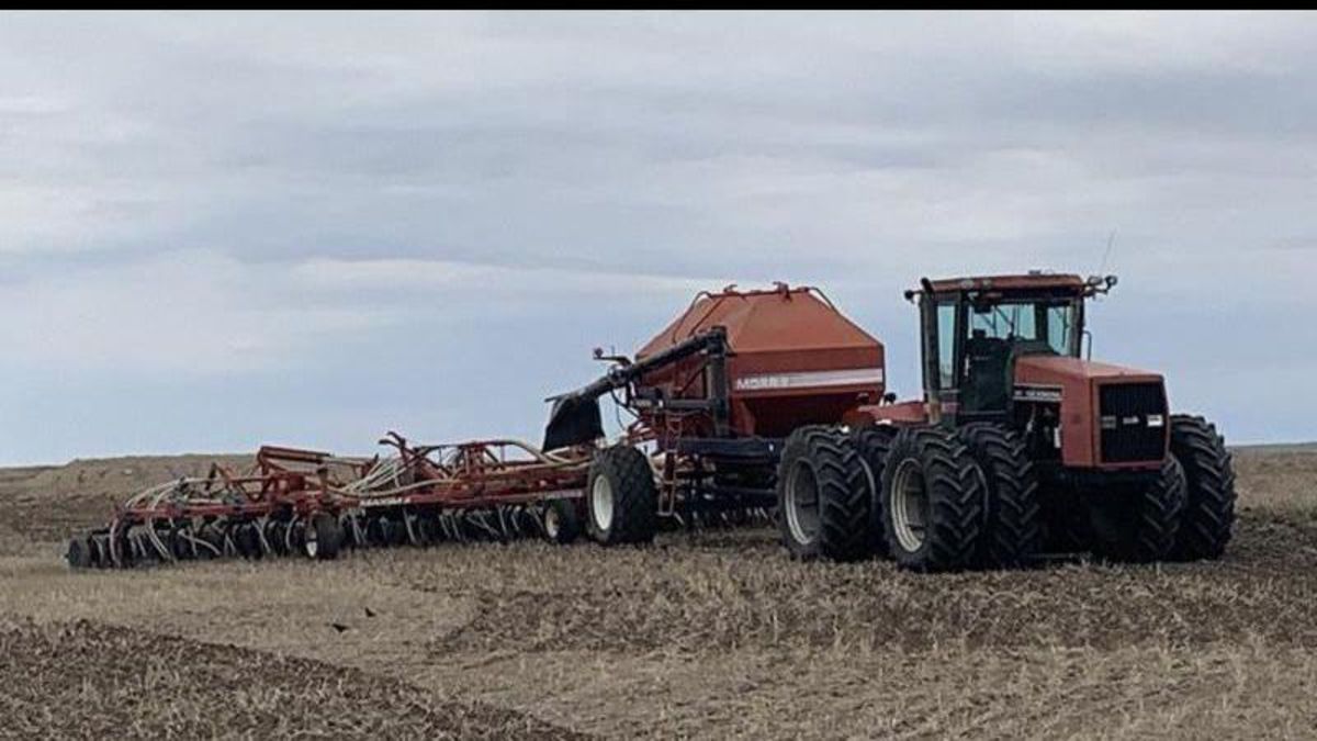 Saskatchewan Agriculture’s crop report reveals seeding has progressed ...