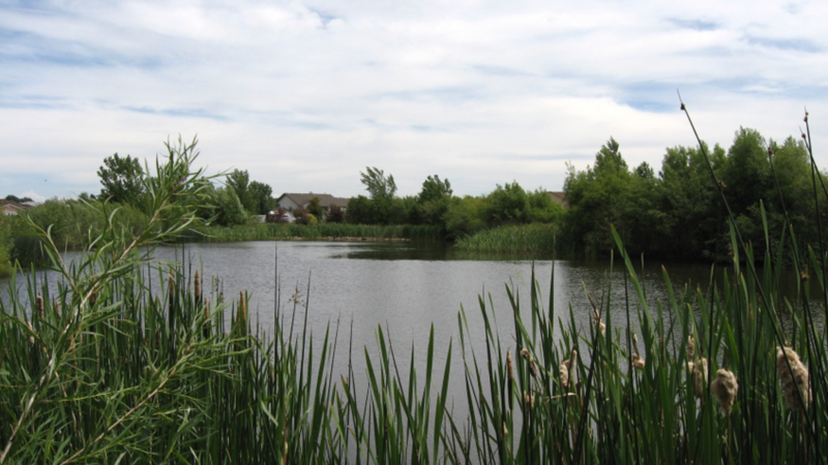 Police Point Park hosting wetlands walks | CHAT News Today