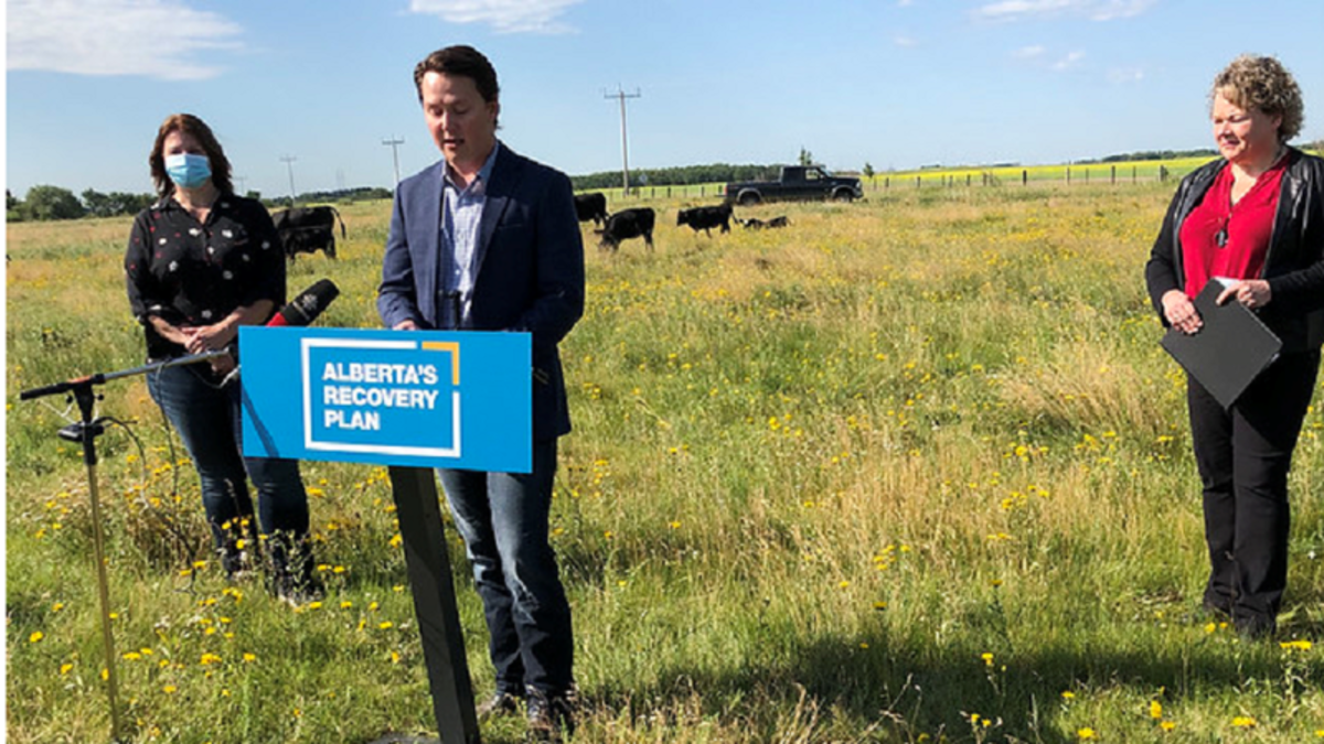 Alberta Agriculture modernizing Meat Inspection Regulations