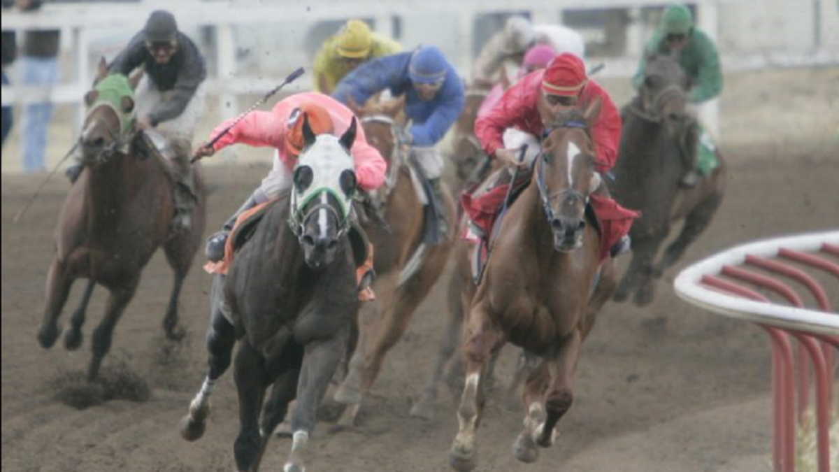 Lethbridge horse races return September 5 after pandemic delay