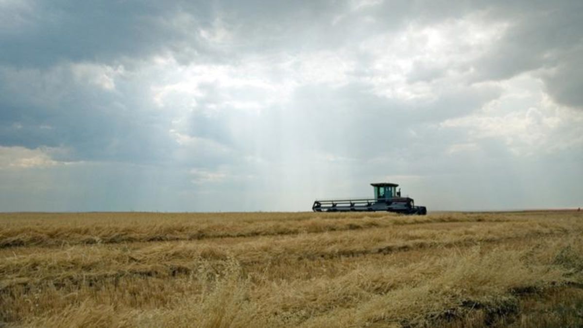 All regions of Saskatchewan reporting harvest progress | farmnewsNOW
