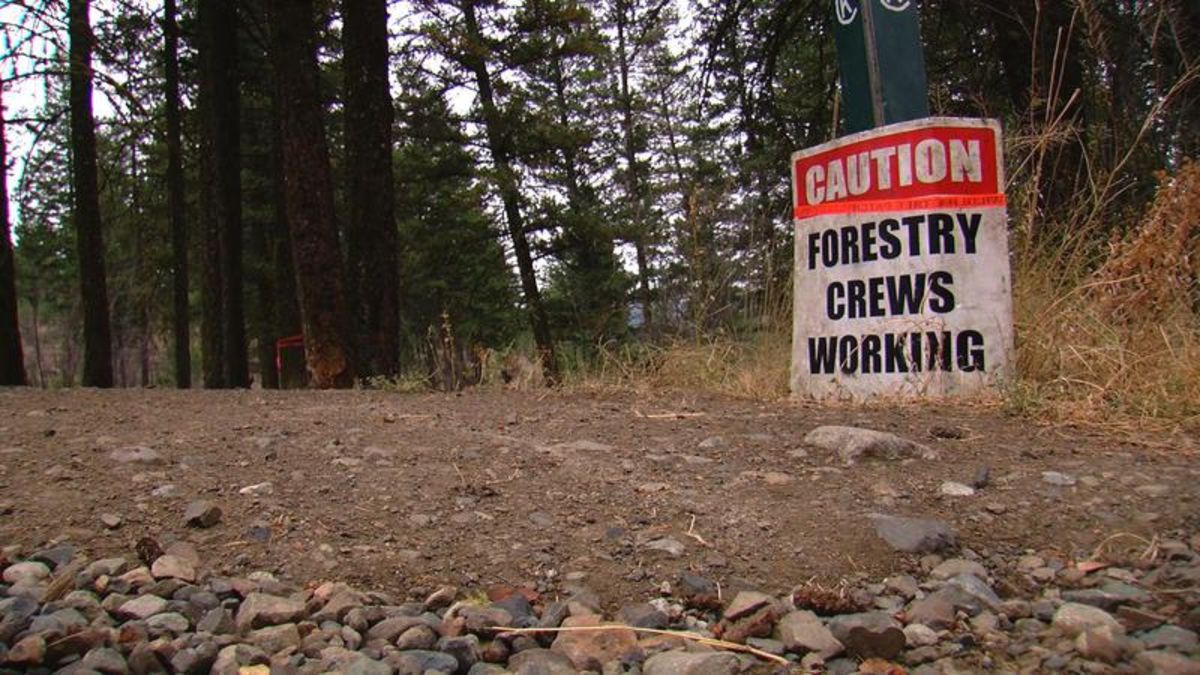 City tackles fuel management in Kamloops nature parks CFJC Today Kamloops