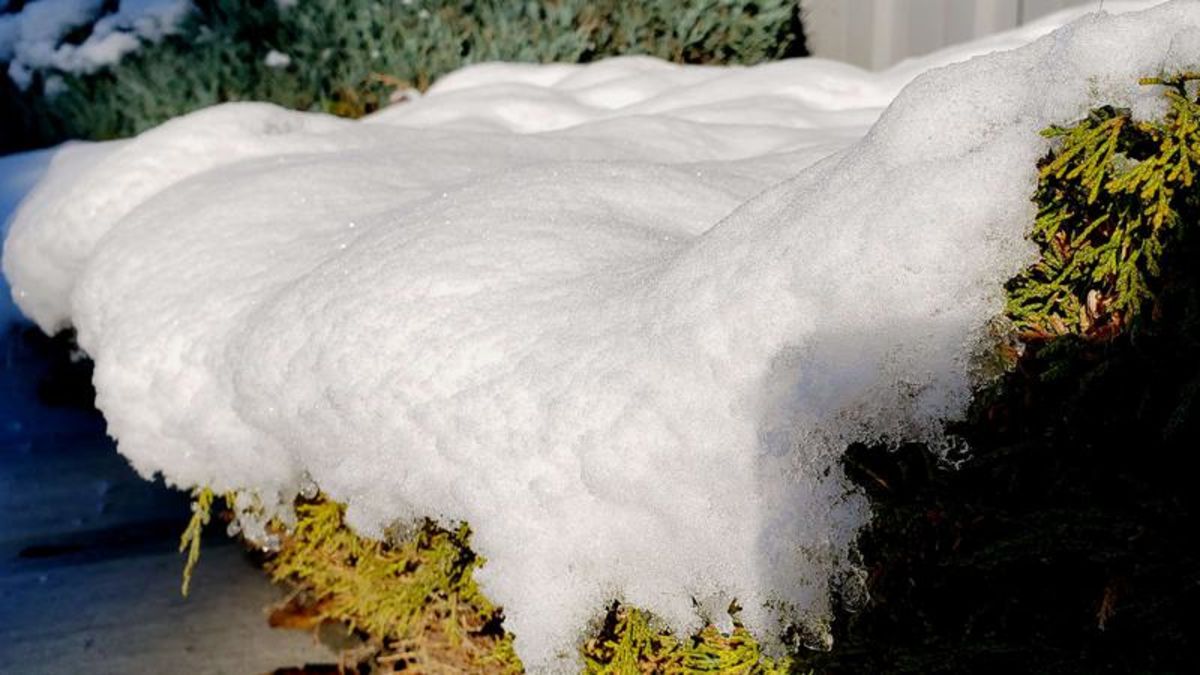 New snowfall records set in and Red Deer Friday