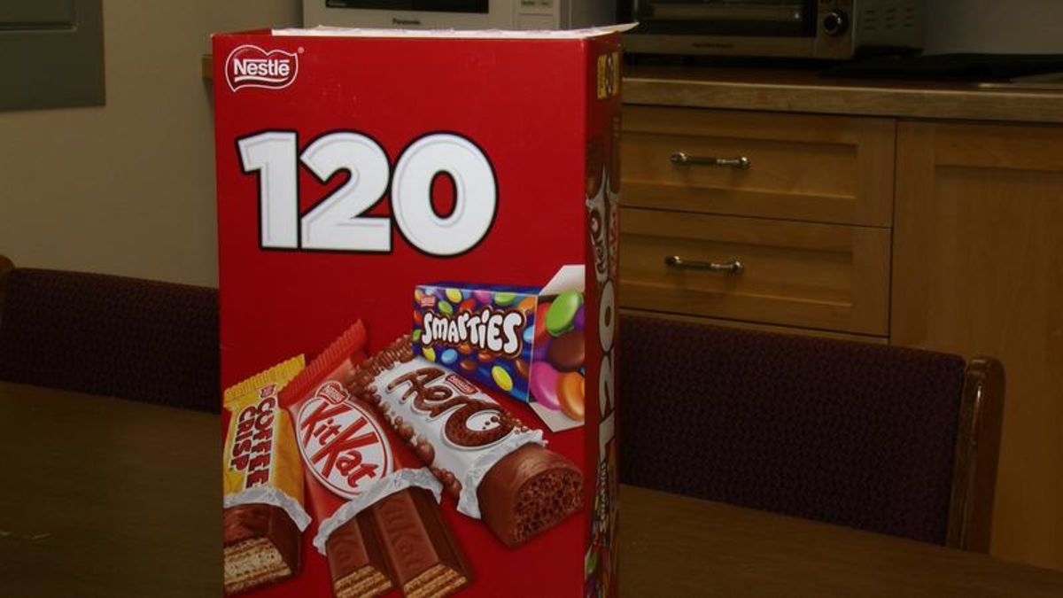 Halloween reminder that chocolate not good for dogs CKPGToday.ca