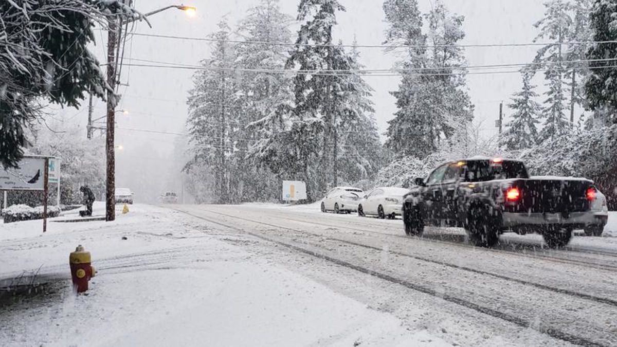 First snowfall of the season transforms Nanaimo into winter wonderland