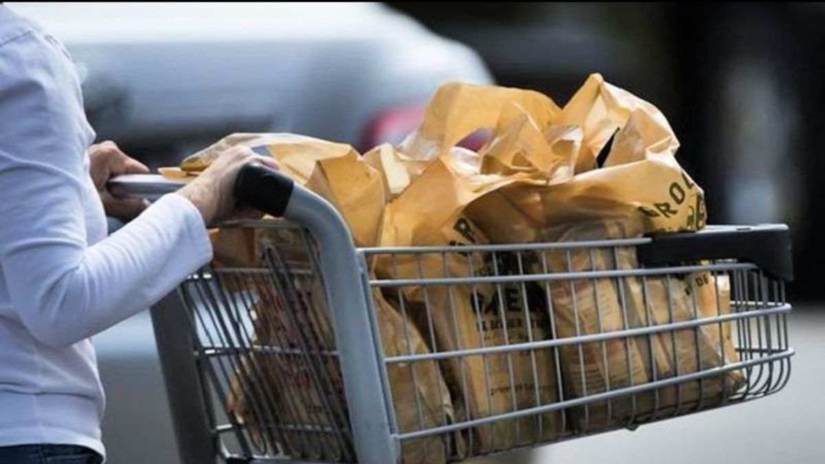 Province approves Nanaimo’s singleuse plastic bags ban