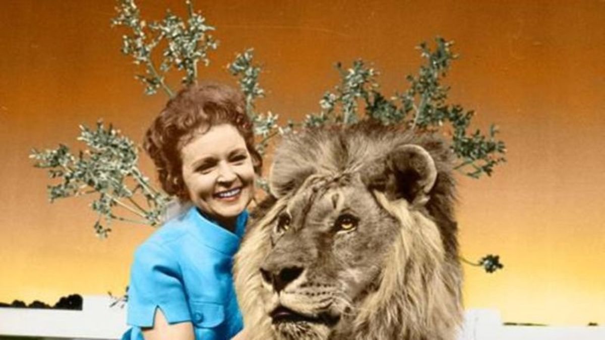 Betty White, furry friends star in 50-year-old 'Pet Set' - The San