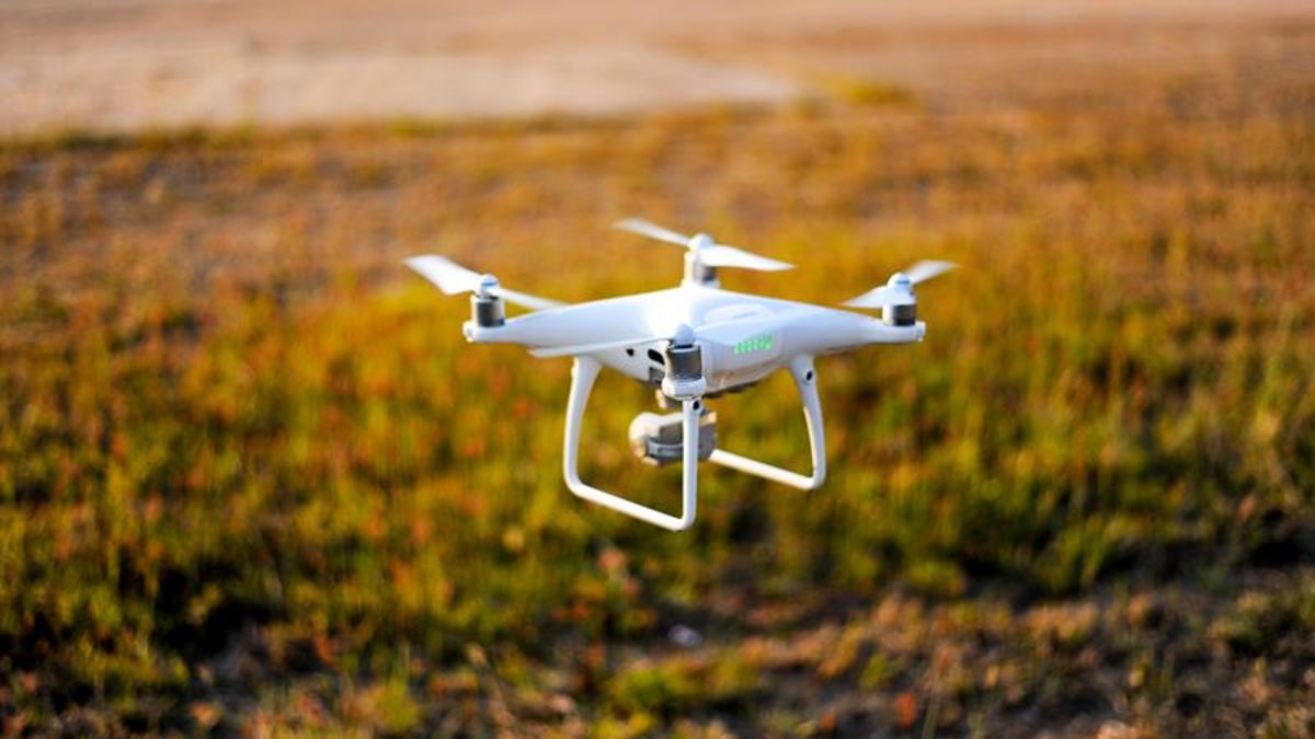 Sterile Insect Release program to use drones Vernon Matters