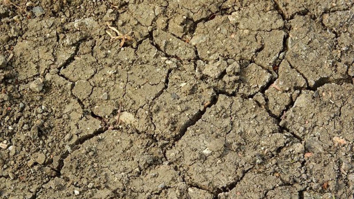 Saskatchewan ‘bone dry’ as warmth and wind erase soil moisture | paNOW