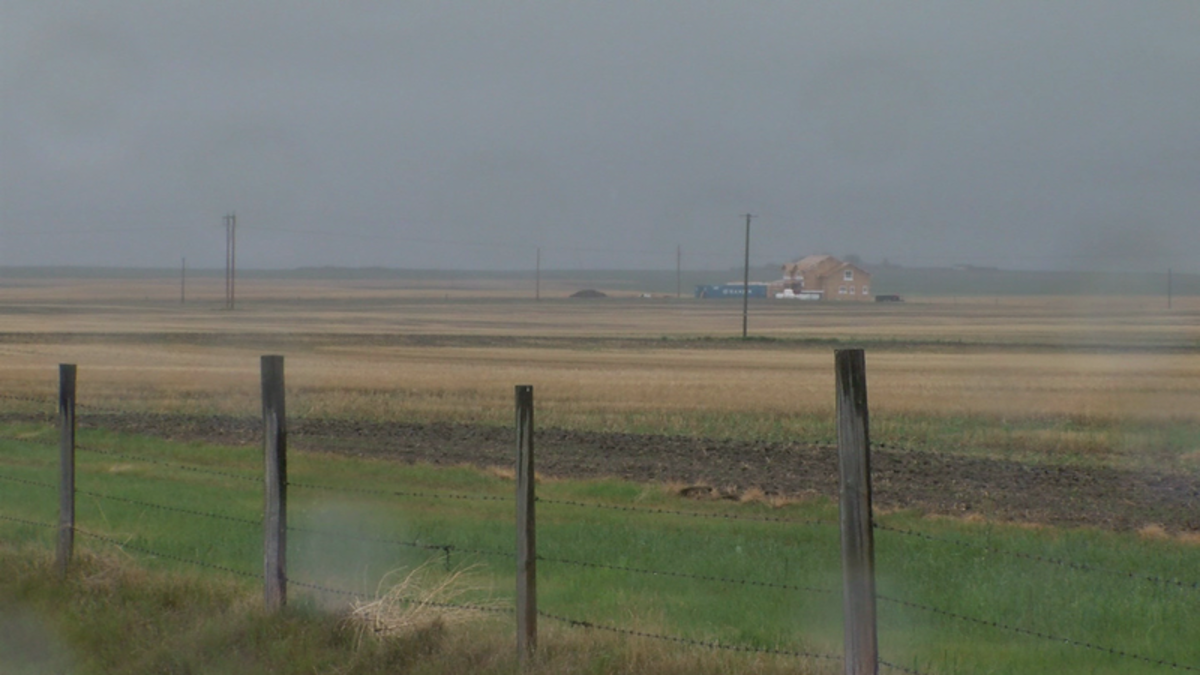 Moisture remains elusive in southeastern Alberta | paNOW