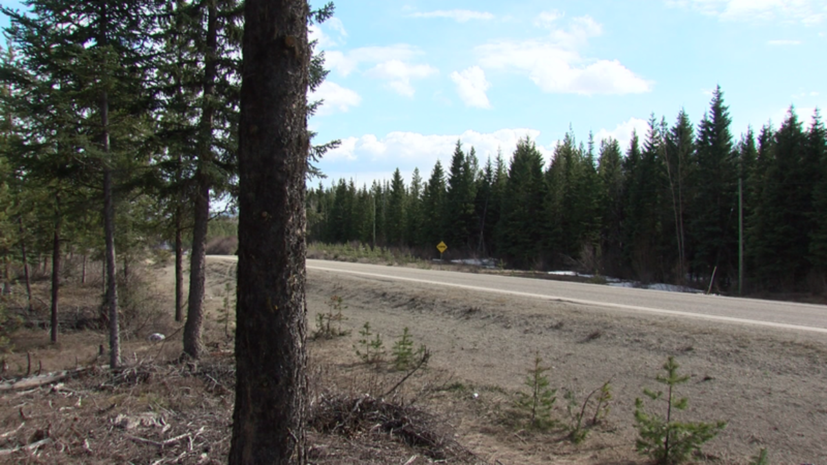 Wildfire Mitigation Project Hopes To Minimize Risk For Mackenzie ...