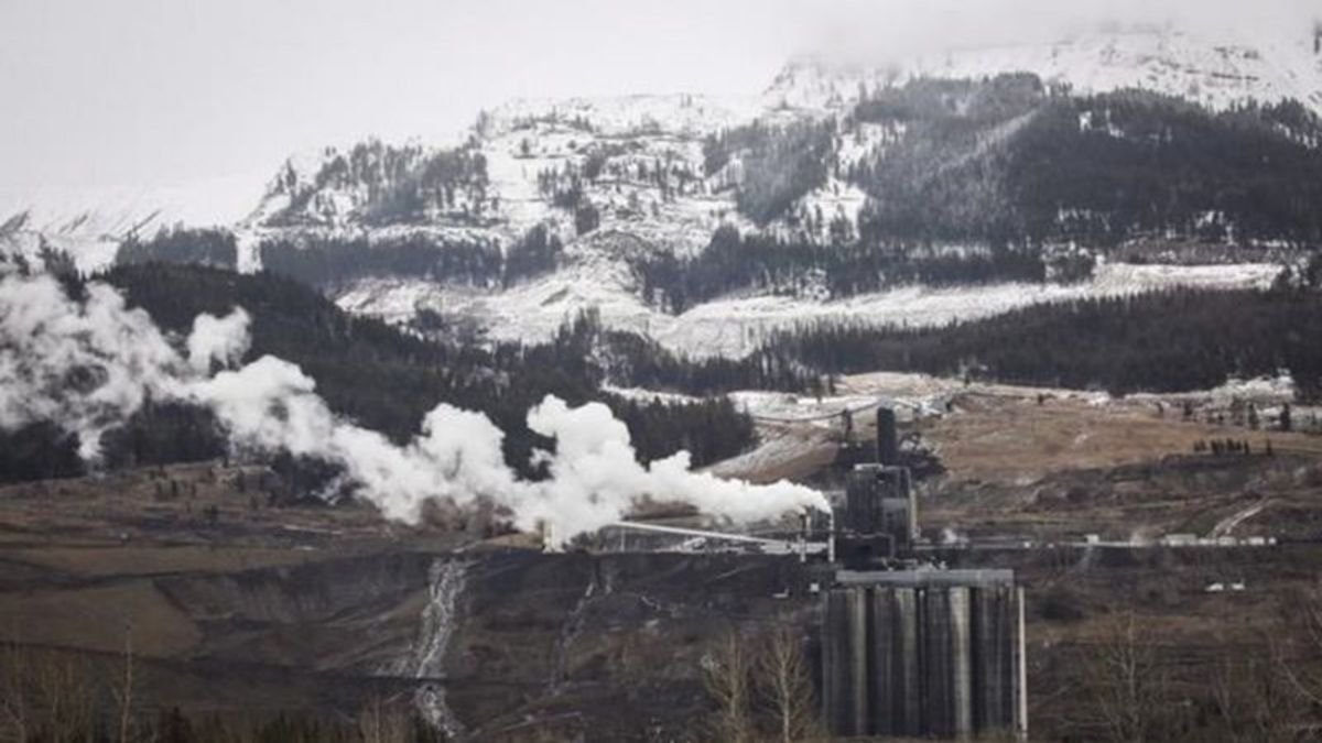 Study Warns Alberta Has Failed To Consider Damage To Foothills From ...