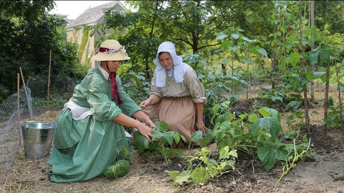 ECHO thrilled to support Museum Learning Garden