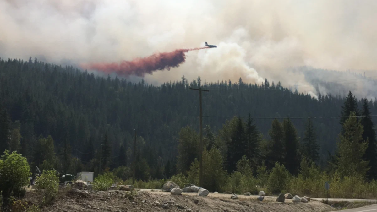 Vehicle accident sparked 130-hectare wildfire near Sicamous, says fire ...