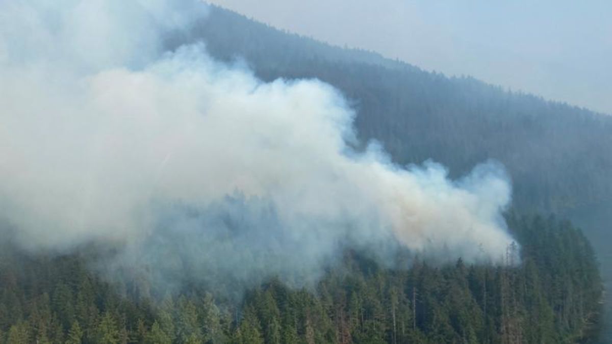 Update on fires in Shuswap region | Vernon Matters