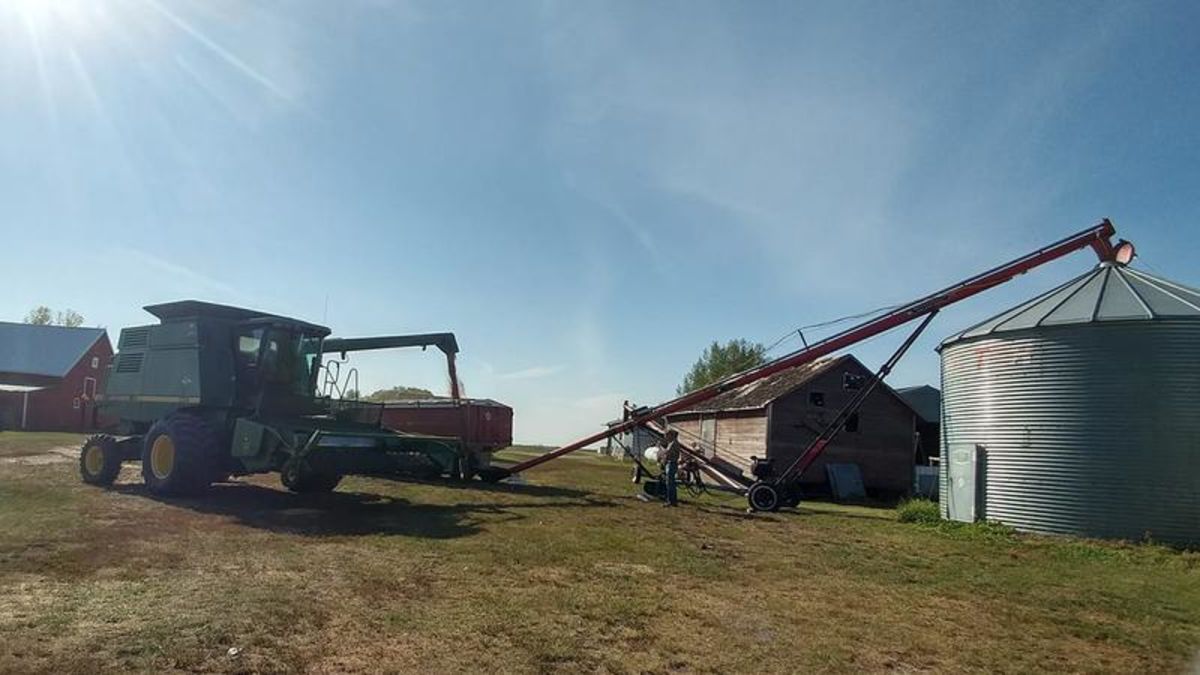 Harvest ahead of five-year average due to dry conditions | paNOW