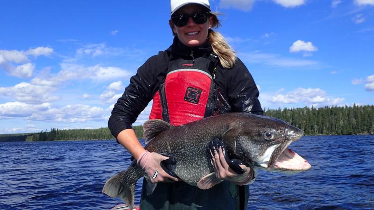 Monitoring Lake Trout in Kingsmere Lake | battlefordsNOW
