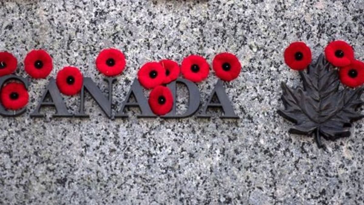 2023 National Poppy Campaign now underway