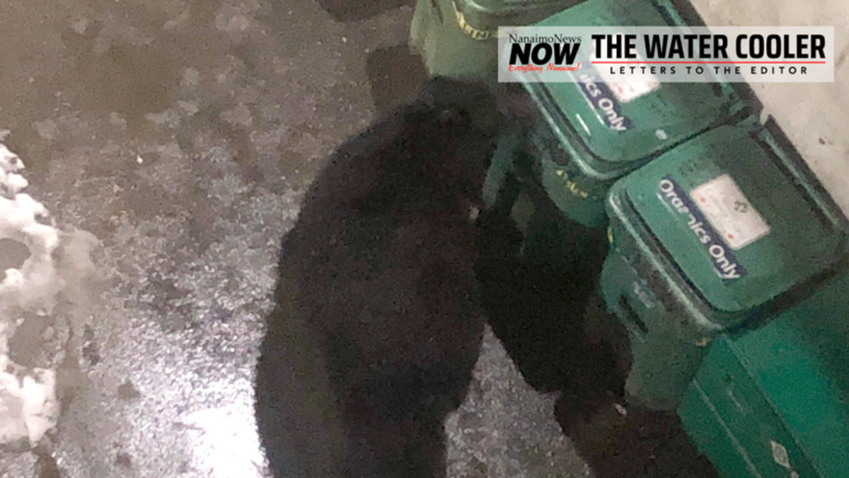 Water Cooler Bear conservation, north Nanaimo development