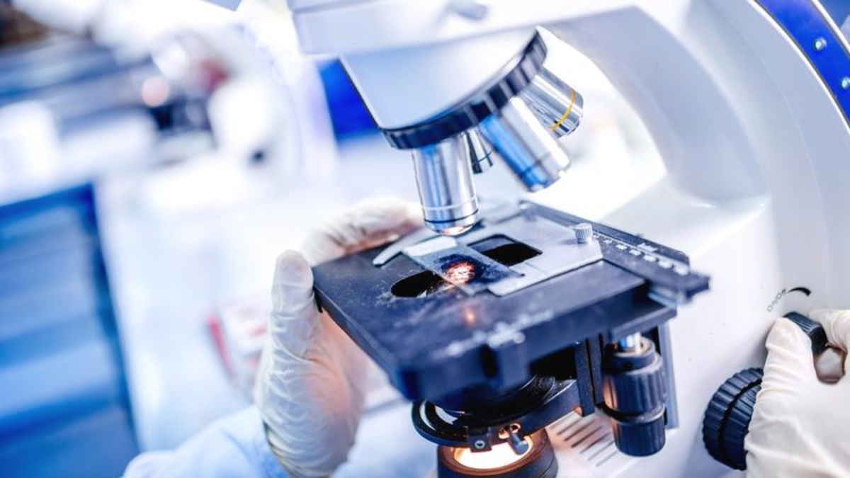 DynaLIFE to offer community lab services in Lethbridge Lethbridge News Now