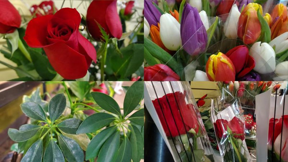 Bustling Valentine’s Day for flower shops in Saskatchewan