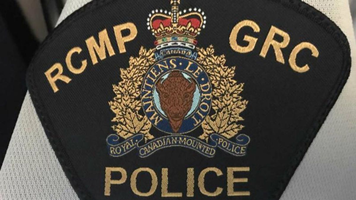 Red Deer RCMP Continue To Offer Online Criminal Record Checks ...