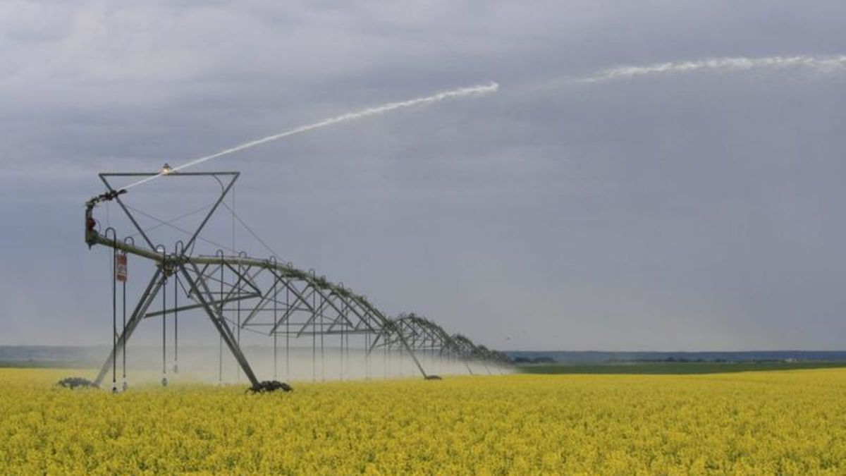 Saskatchewan pumping additional 2.5M into irrigation program