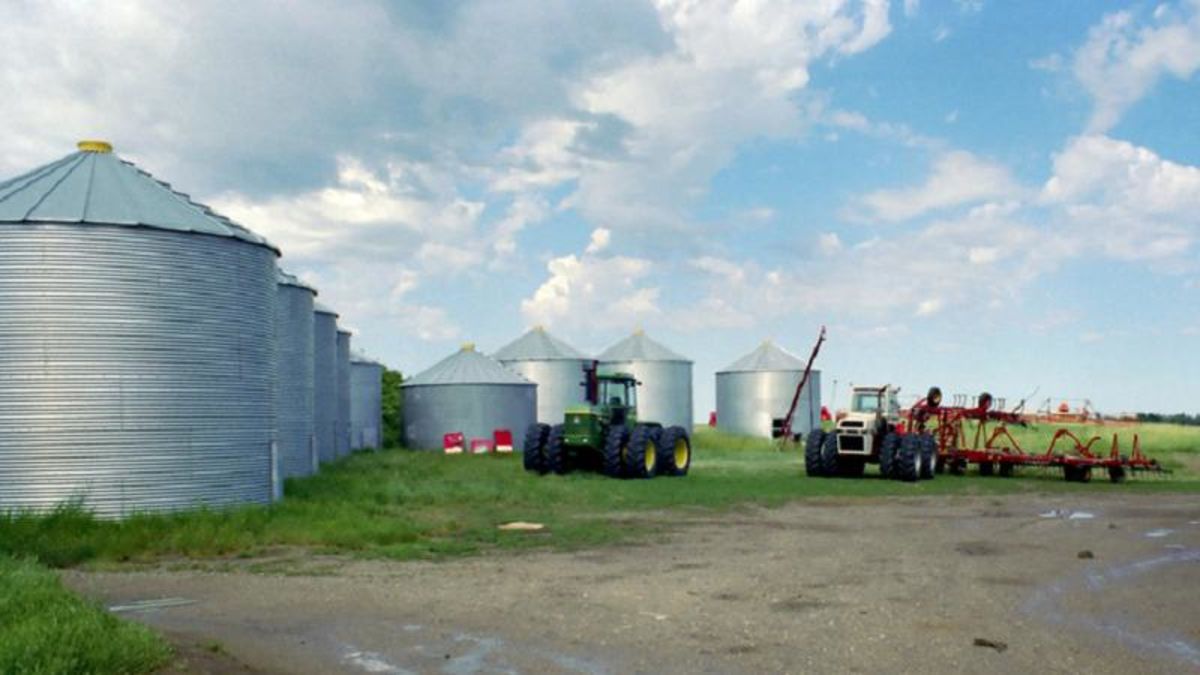 Wet, cool weather delays seeding in Saskatchewan | farmnewsNOW