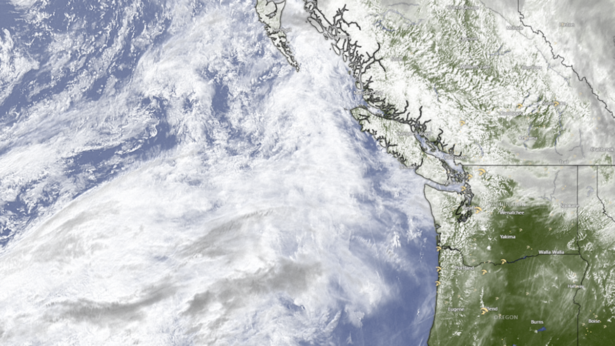 Spring storm forecast to pack windy punch for Nanaimo & Oceanside NanaimoNewsNOW Nanaimo