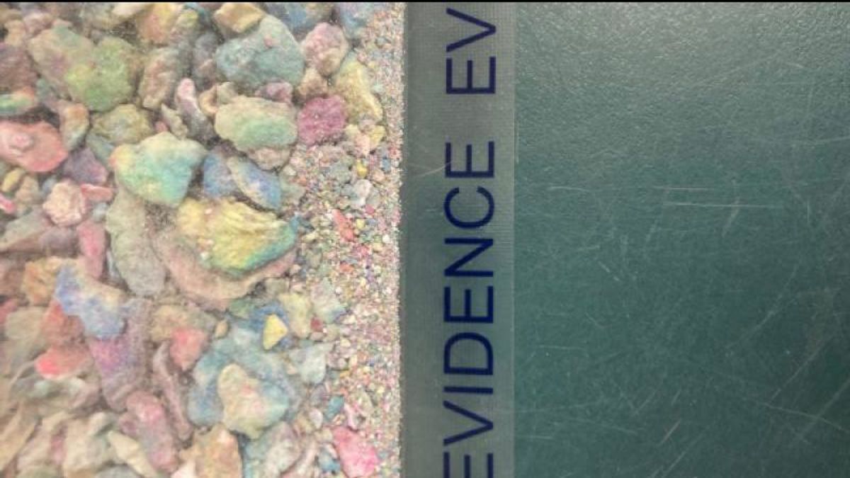 Quesnel drug bust nets fentanyl, heroin, cash and prohibited firearms