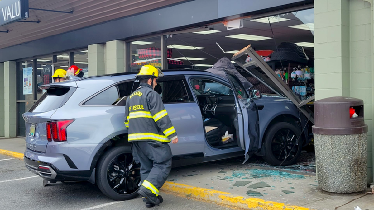 Workers, driver & dog escape injury after SUV smashes into Nanaimo pet