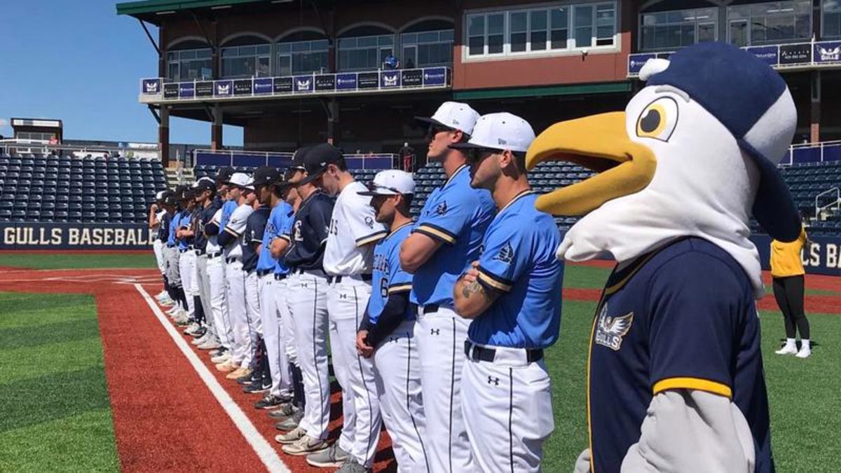 Sylvan Lake Gulls back for second season in completed new stadium