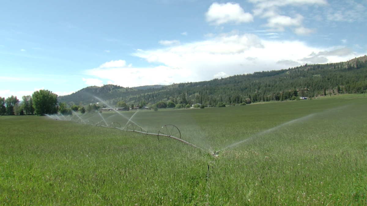 Noble Creek residents relieved to see council decision on irrigation