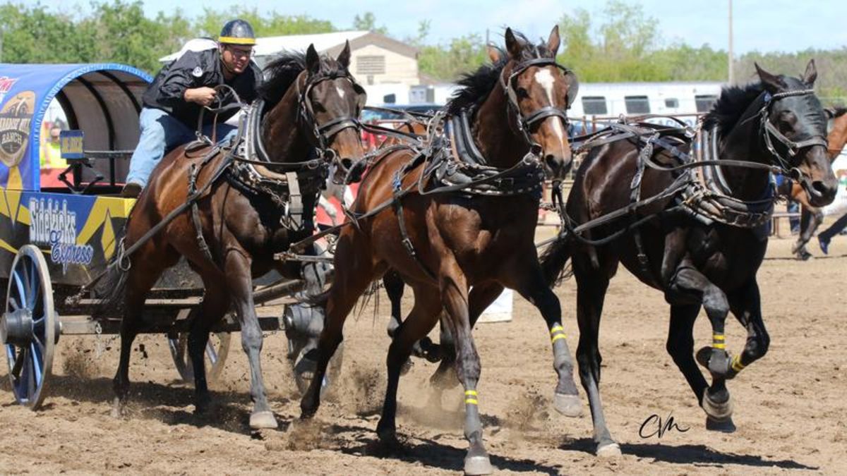 Laboucane Wins First Cpca Event Of 2022 