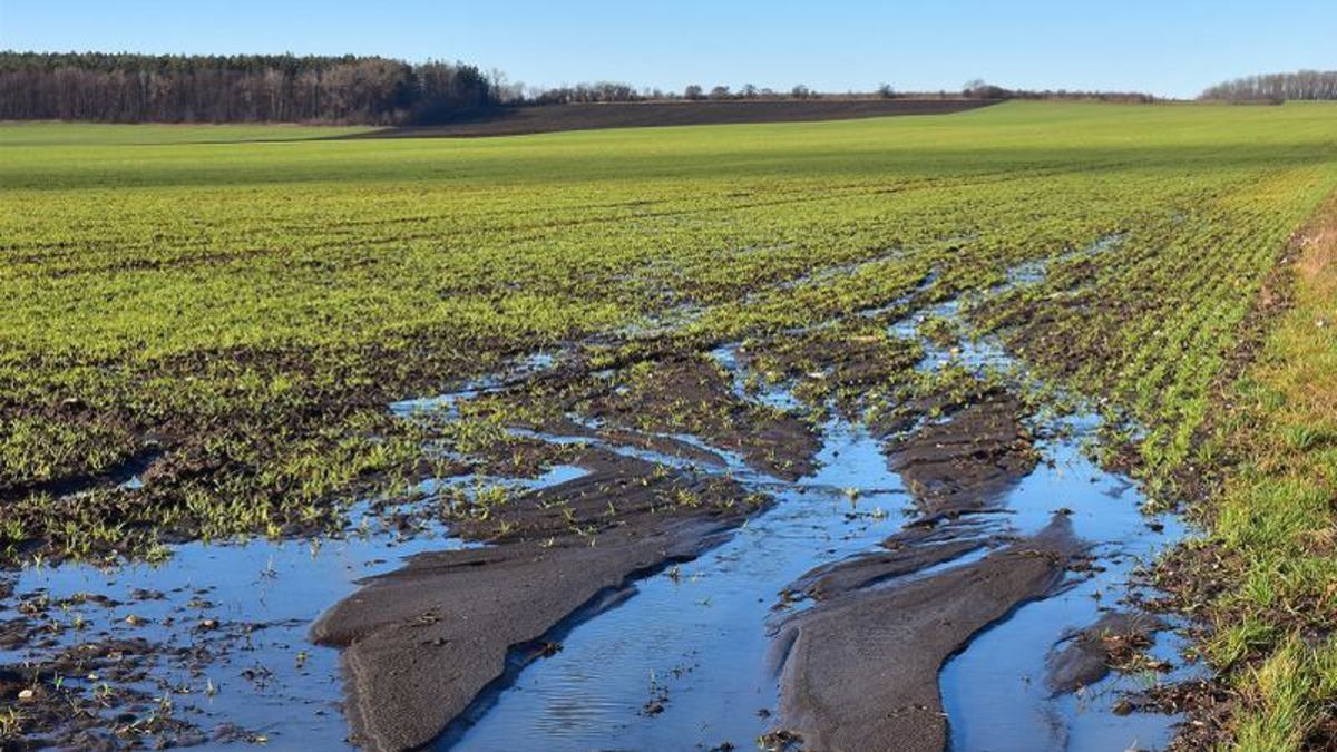 Listen: Manitoba farmers struggle with wet conditions as seeding is ...