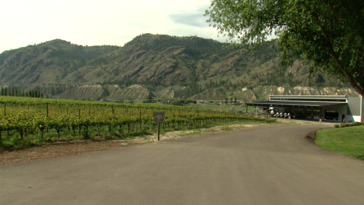 Monte Creek Winery unveils 10 million worth of investments, including