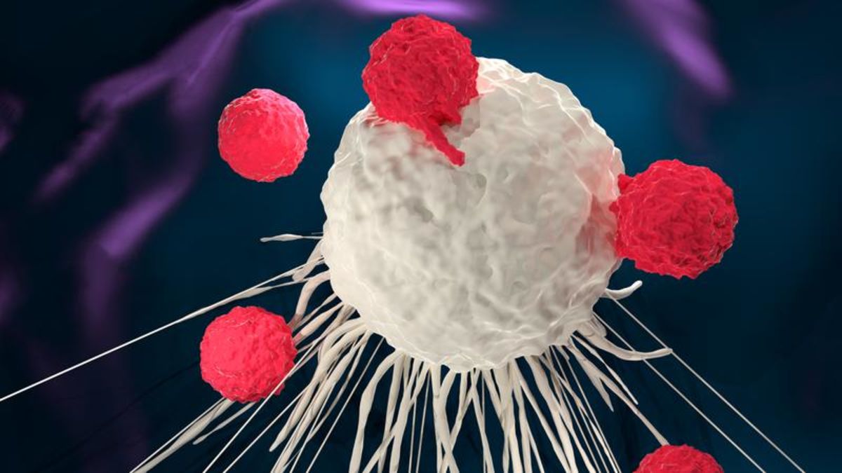 car-t-cell-therapy-showing-positive-outcomes-for-cancer-patients-ahs