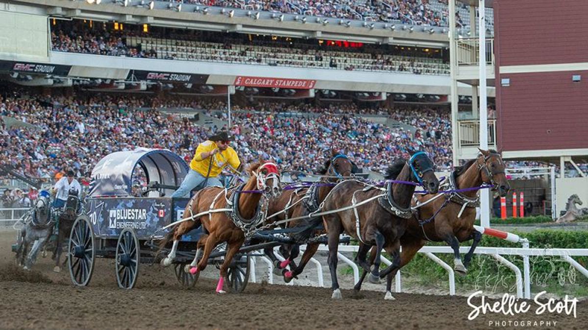 Day 6 Results Calgary Stampede Cowboys Rangeland Derby