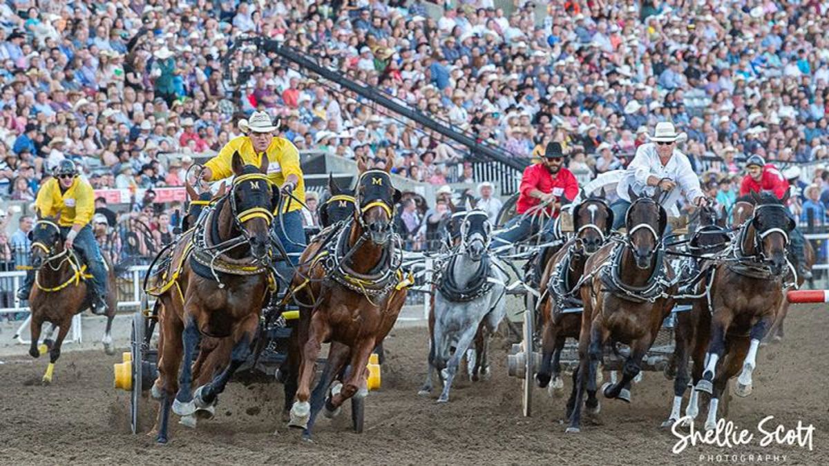 Day 7 Results 2022 Calgary Stampede Cowboys Rangeland Derby