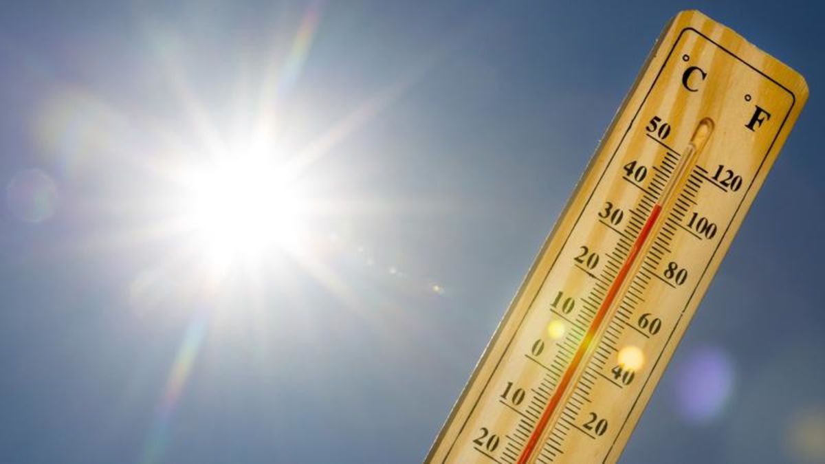 Vernon broke nearly nine decade old temperature record Thursday