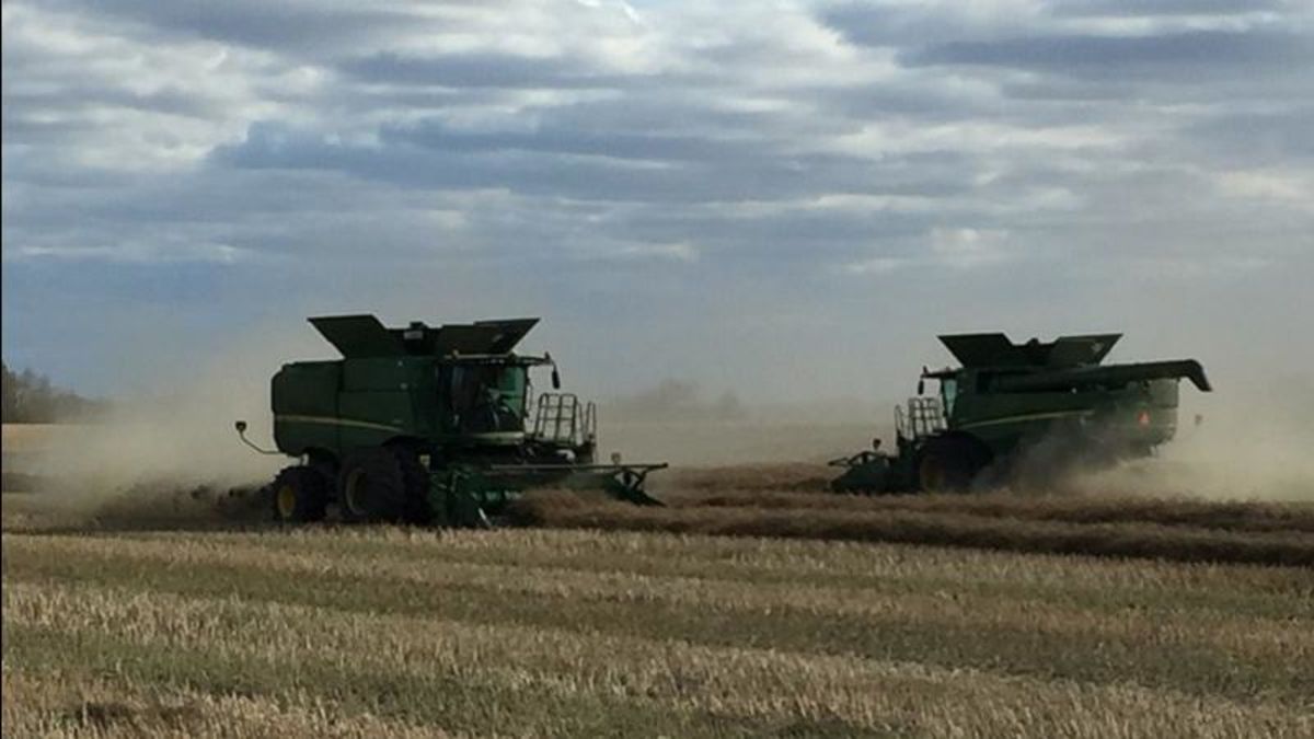 Harvest progress just behind the five year average in Saskatchewan ...