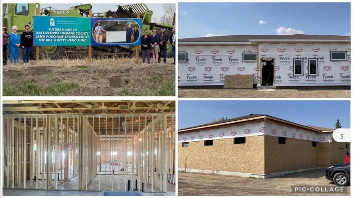 Humane Society making progress with new shelter and boarding facility