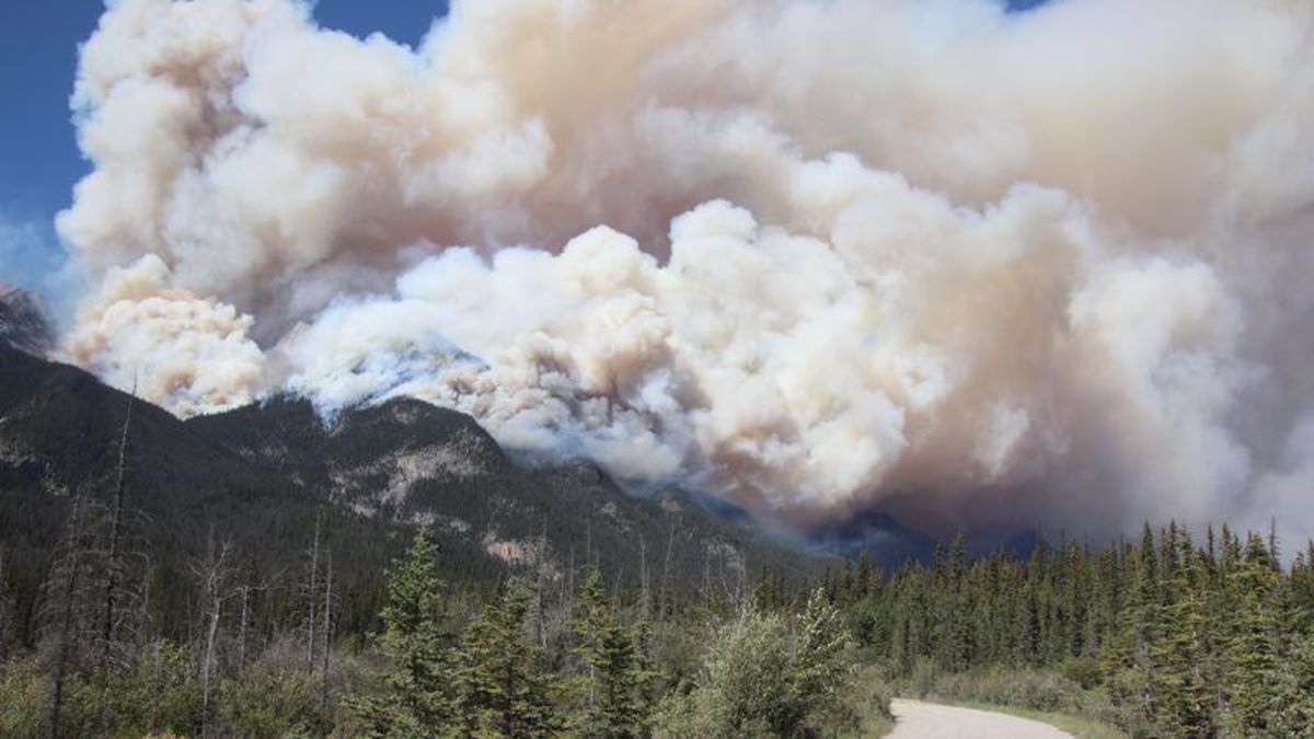 Parks Canada warns smoke from Jasper wildfire could affect Alberta