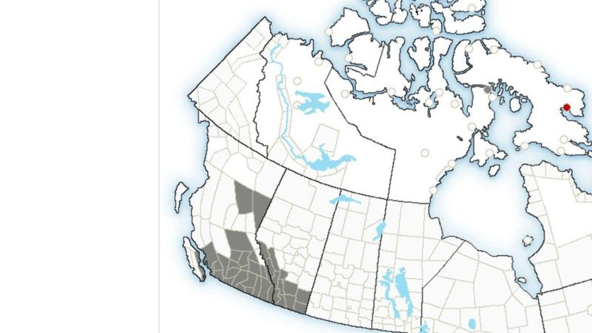 Special air quality statement issued due to smoke | CHAT News Today