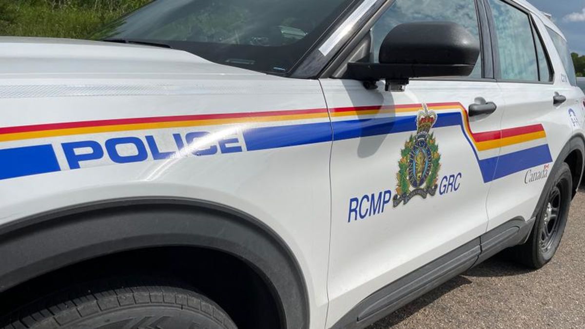 Saskatoon Rcmp ‘Should have been the RCMP’: Saskatoon woman details search to find ...