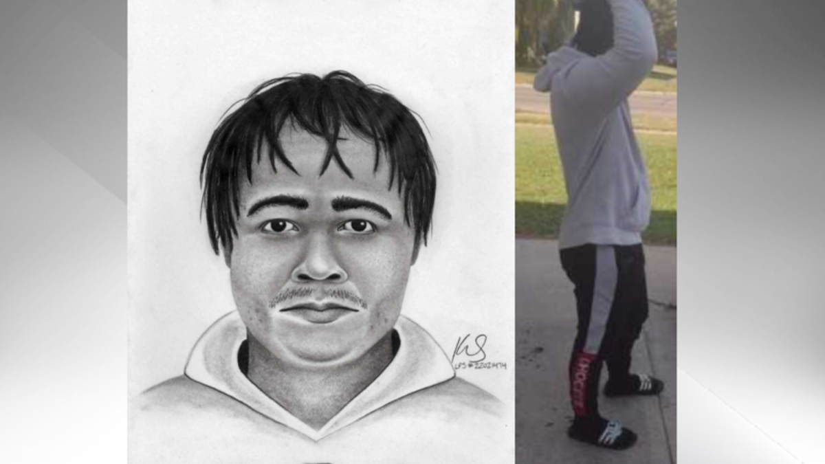 Sketch Of Lethbridge Sexual Assault Suspect Released By Police Lethbridge News Now 8496