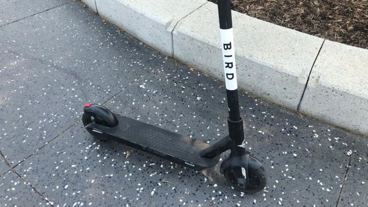 Escooters give multimillion dollar boost to Red Deer businesses