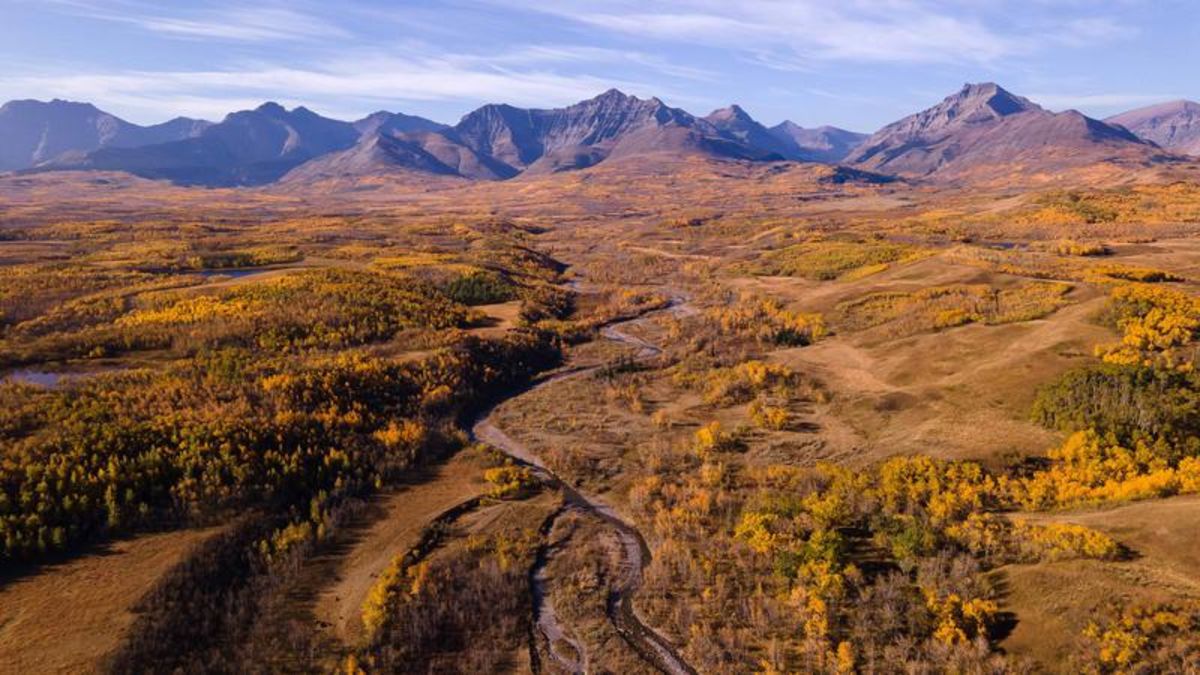 Land near Waterton to be protected by Nature Conservancy CHAT News Today