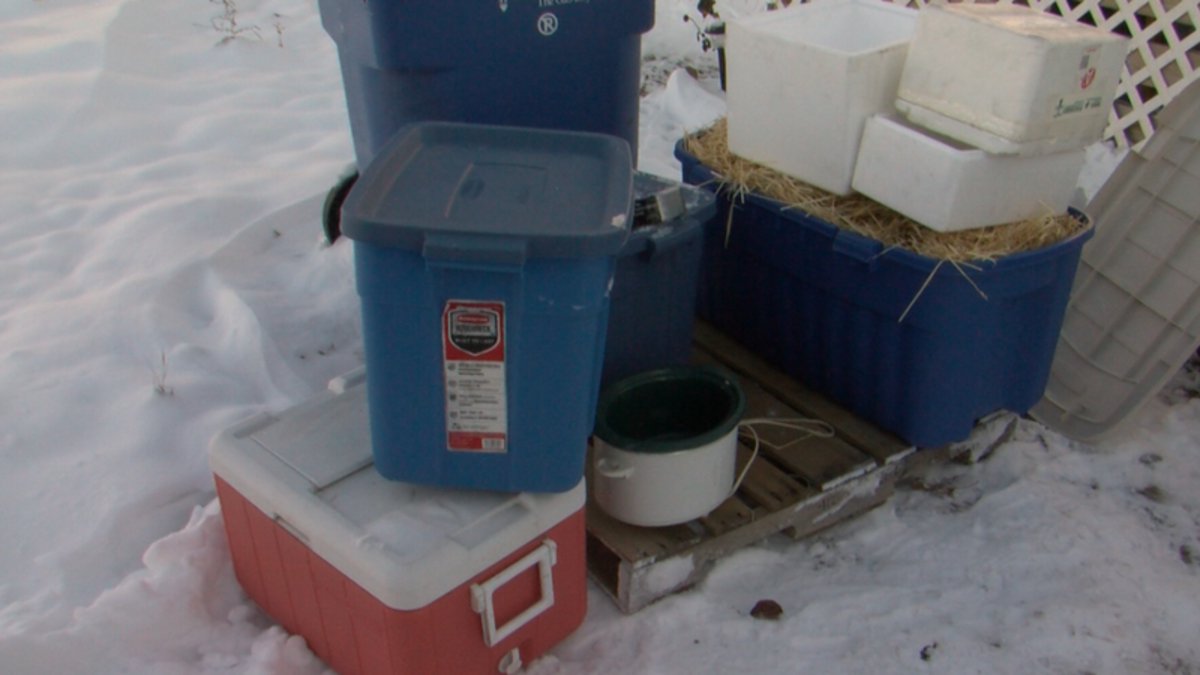 Furry Friends Food Foundation hopes to keep feral cats safe and warm